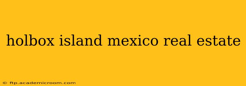 holbox island mexico real estate