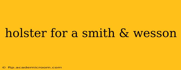 holster for a smith & wesson