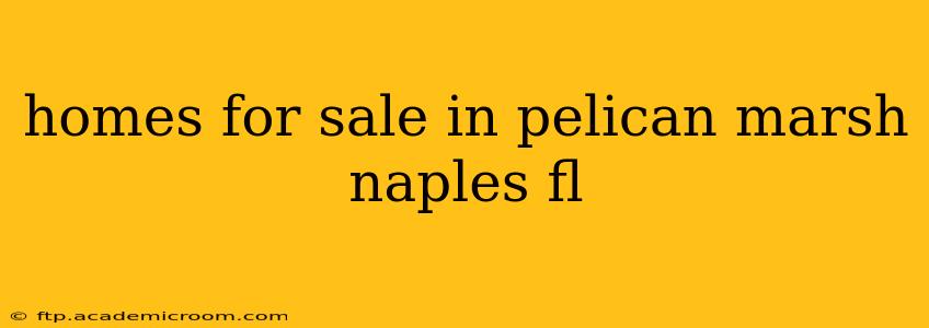homes for sale in pelican marsh naples fl