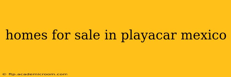 homes for sale in playacar mexico