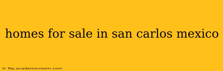 homes for sale in san carlos mexico