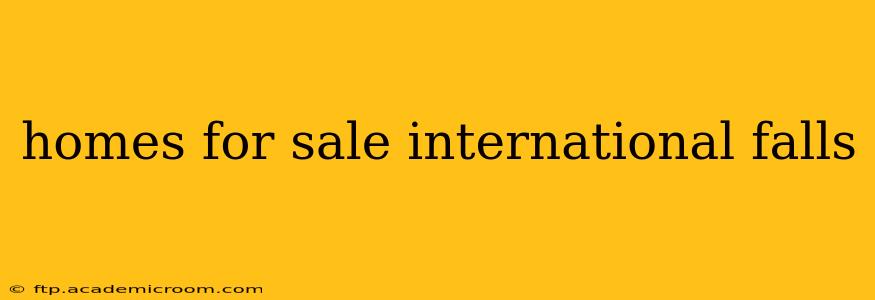 homes for sale international falls
