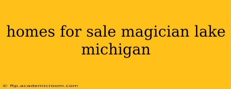 homes for sale magician lake michigan