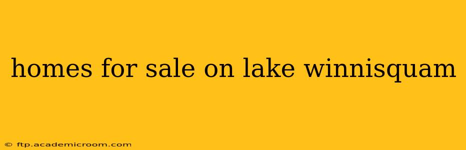 homes for sale on lake winnisquam