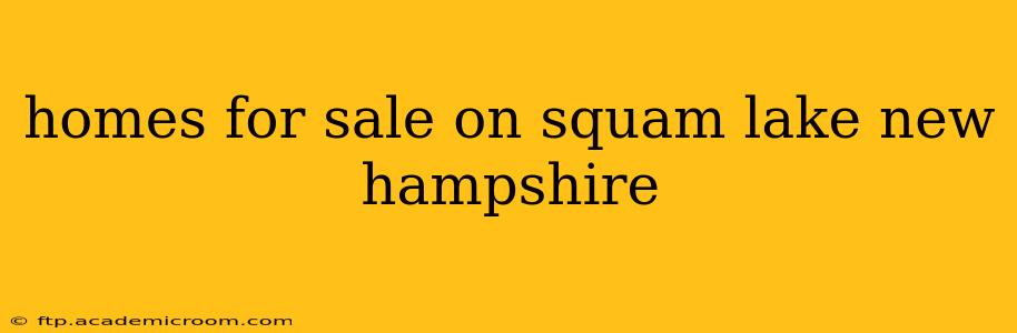 homes for sale on squam lake new hampshire