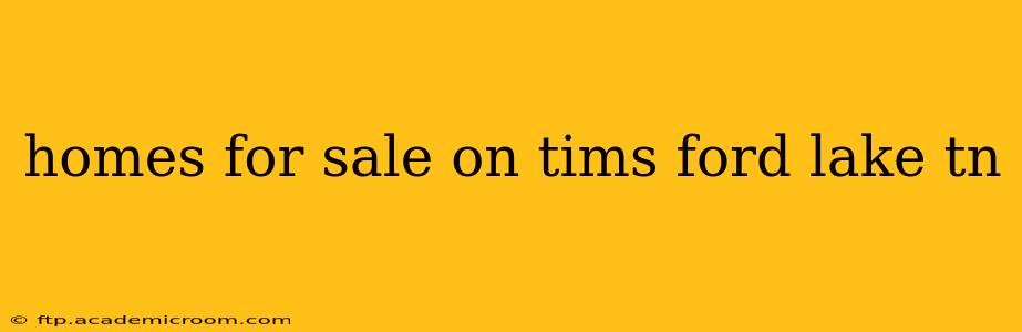 homes for sale on tims ford lake tn
