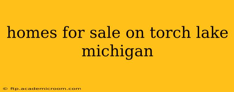 homes for sale on torch lake michigan