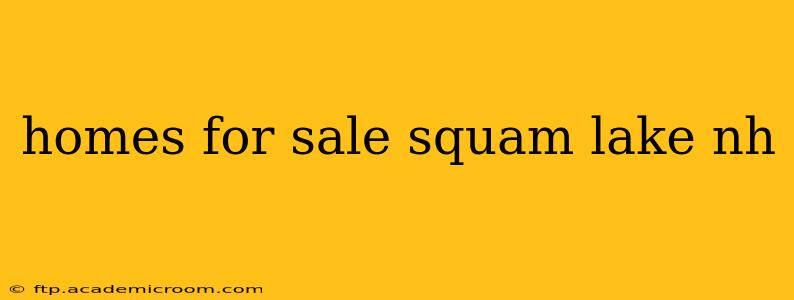homes for sale squam lake nh
