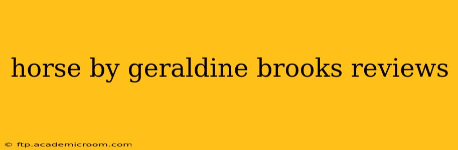 horse by geraldine brooks reviews
