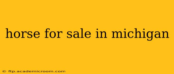 horse for sale in michigan