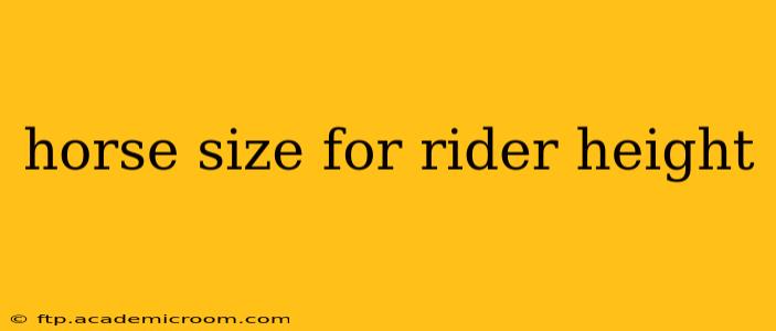 horse size for rider height