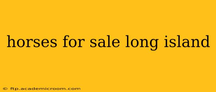horses for sale long island