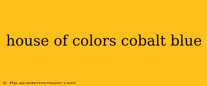 house of colors cobalt blue