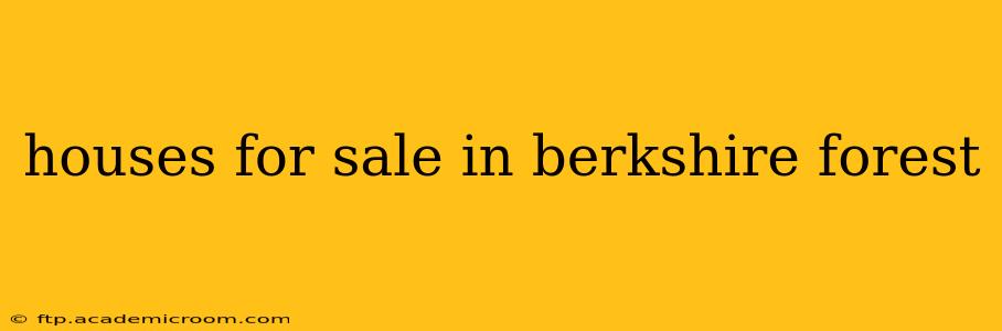 houses for sale in berkshire forest