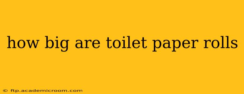 how big are toilet paper rolls