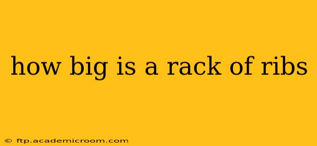 how big is a rack of ribs