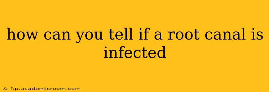 how can you tell if a root canal is infected