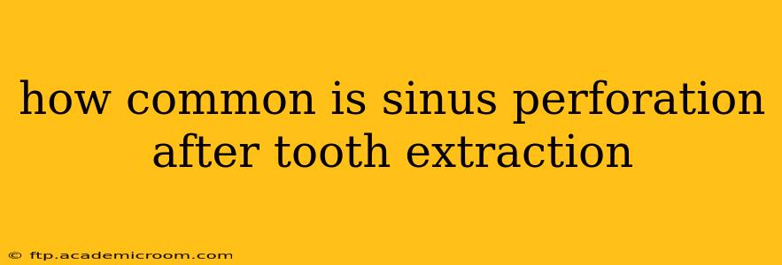 how common is sinus perforation after tooth extraction