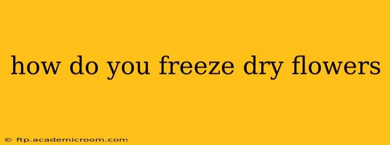 how do you freeze dry flowers