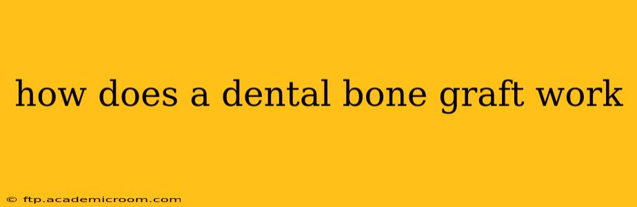 how does a dental bone graft work