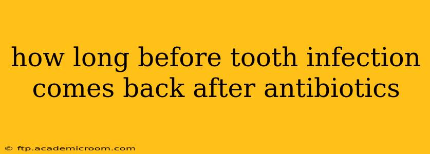 how long before tooth infection comes back after antibiotics