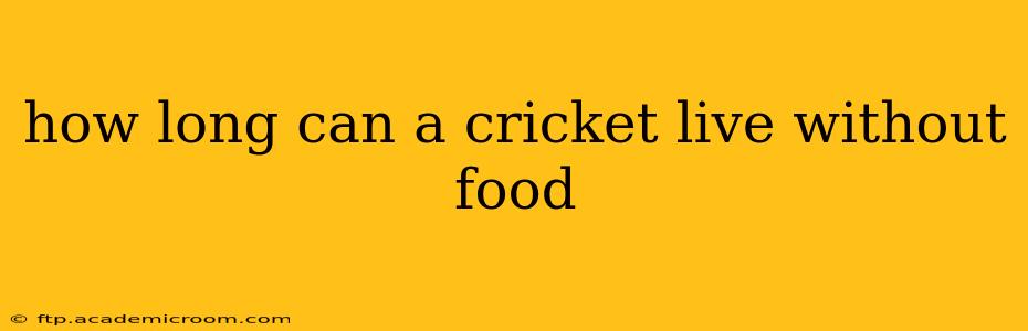 how long can a cricket live without food