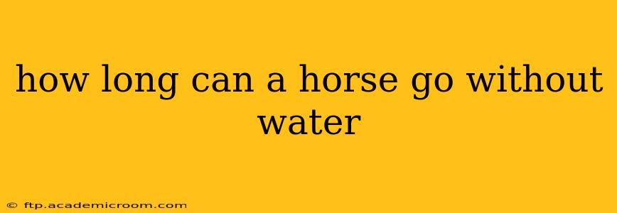 how long can a horse go without water