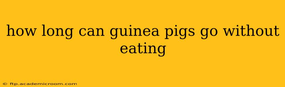 how long can guinea pigs go without eating