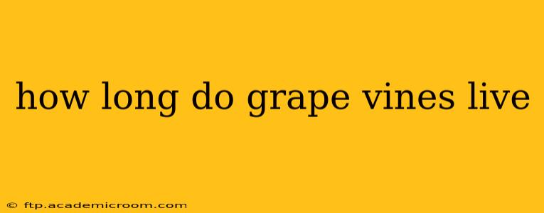 how long do grape vines live