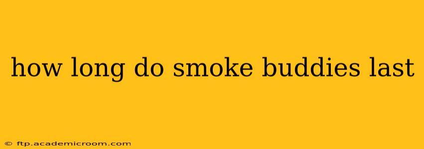 how long do smoke buddies last