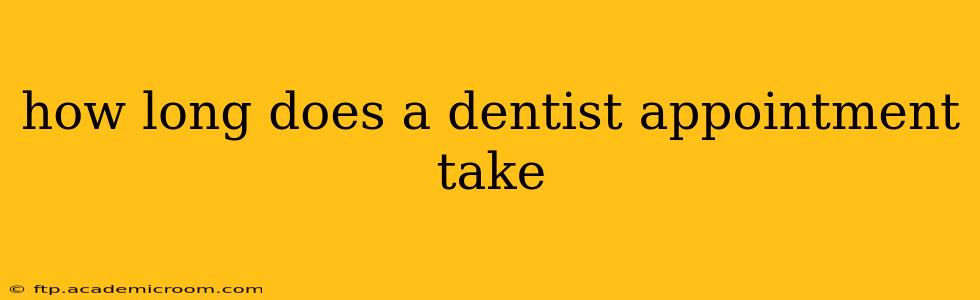 how long does a dentist appointment take