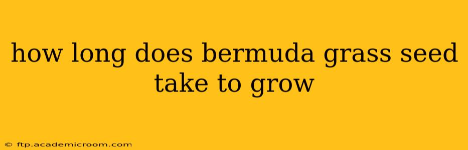 how long does bermuda grass seed take to grow
