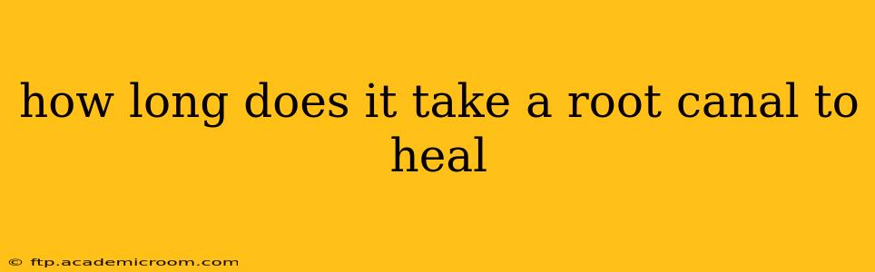 how long does it take a root canal to heal