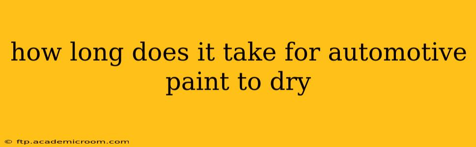 how long does it take for automotive paint to dry