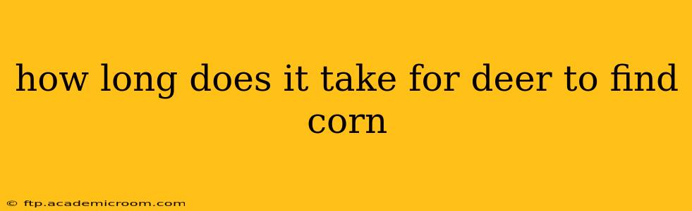 how long does it take for deer to find corn