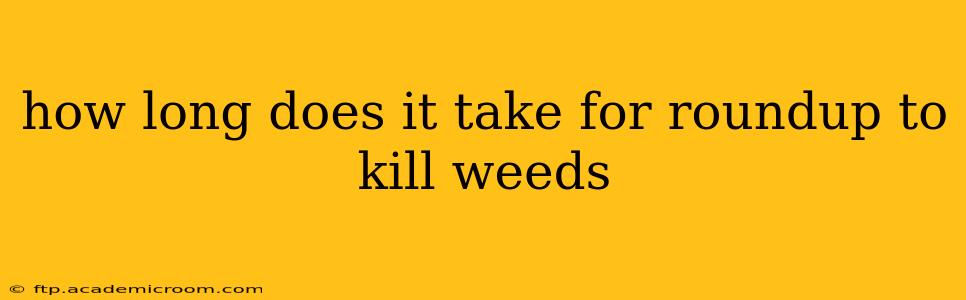 how long does it take for roundup to kill weeds