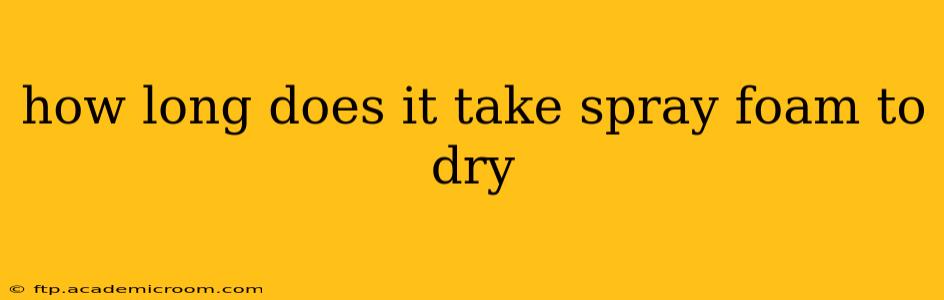 how long does it take spray foam to dry