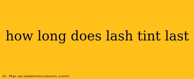 how long does lash tint last