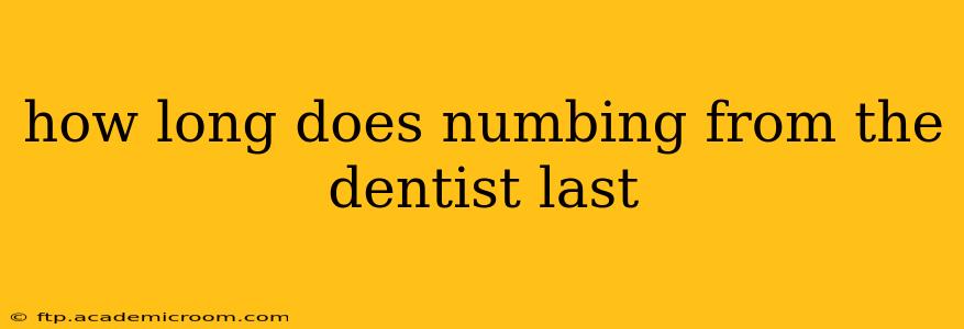 how long does numbing from the dentist last