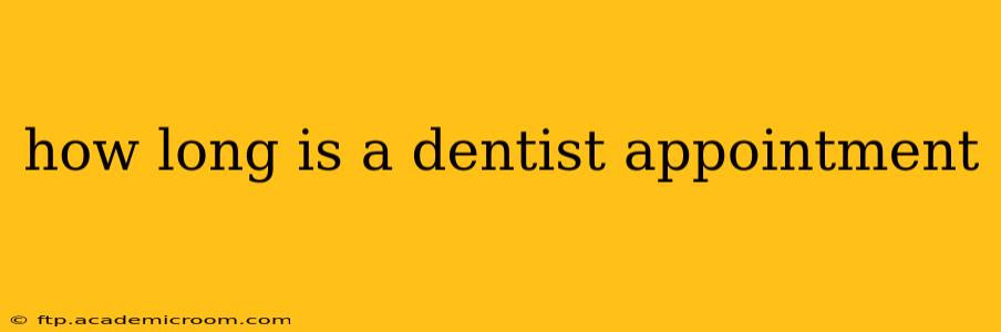 how long is a dentist appointment