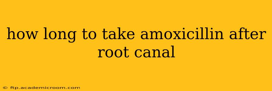 how long to take amoxicillin after root canal