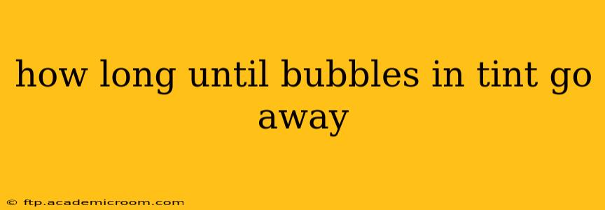 how long until bubbles in tint go away