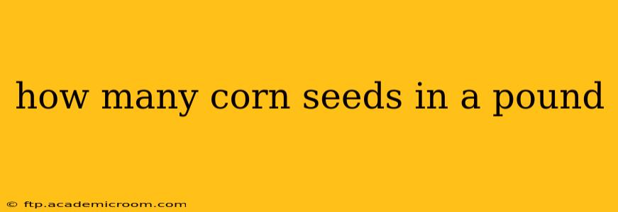 how many corn seeds in a pound