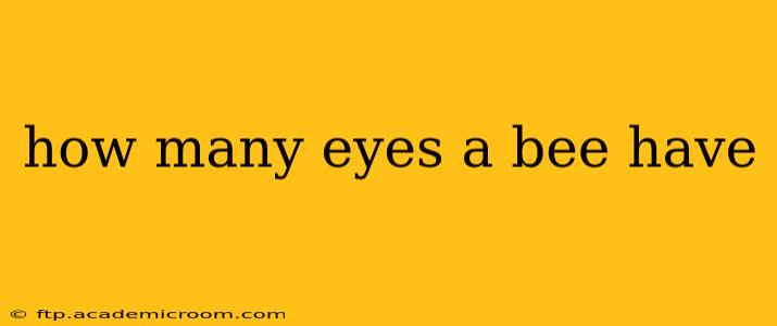 how many eyes a bee have