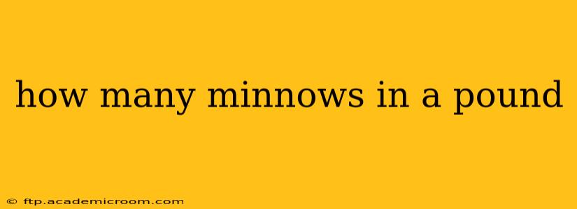 how many minnows in a pound