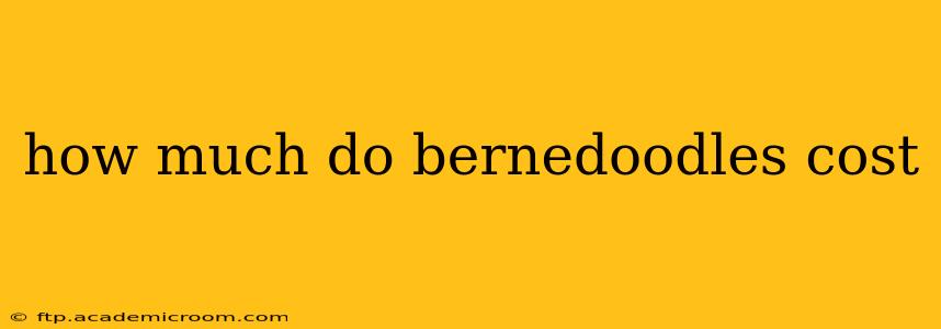 how much do bernedoodles cost
