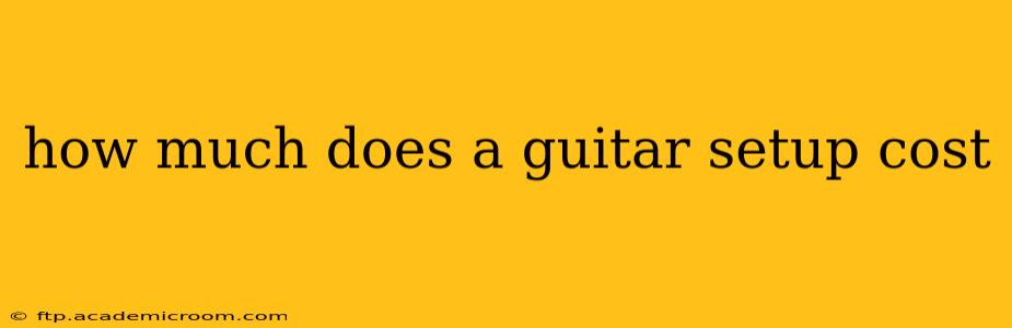 how much does a guitar setup cost