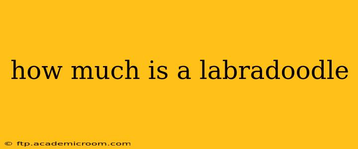how much is a labradoodle
