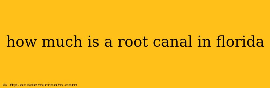 how much is a root canal in florida
