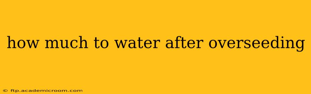 how much to water after overseeding